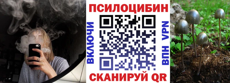 Псилоцибиновые грибы Psilocybine cubensis  кракен   сайты даркнета клад  Горно-Алтайск 